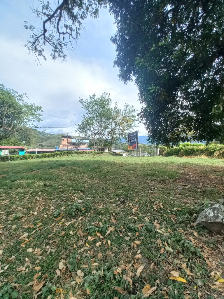 Lote En Arriendo - Lote Alto Del Combeima Fraccion Aparco, Ibagué