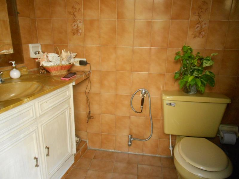 Casa En Venta - Pola, Ibagué