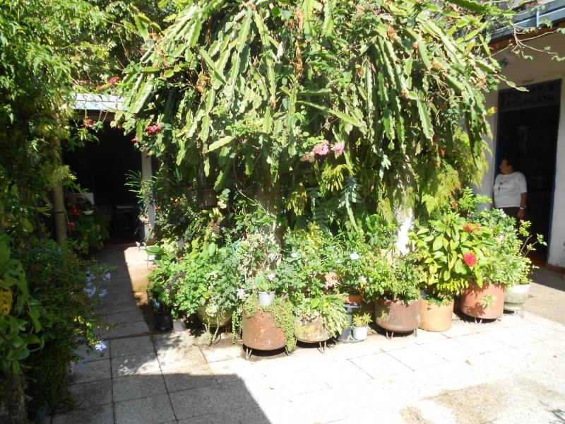 Casa En Venta - Pola, Ibagué