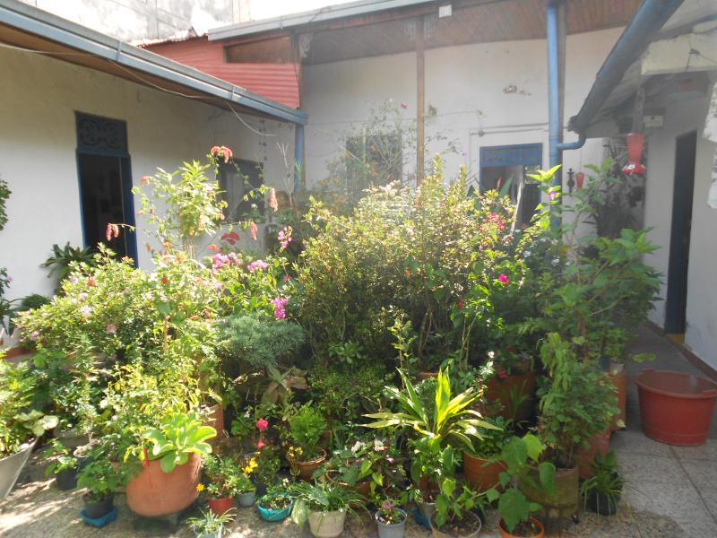 Casa En Venta - Pola, Ibagué