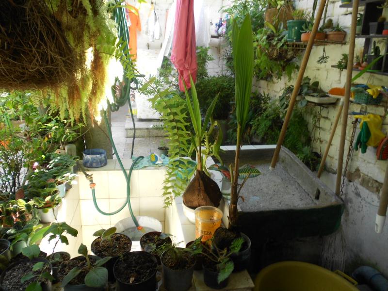 Casa En Venta - Pola, Ibagué