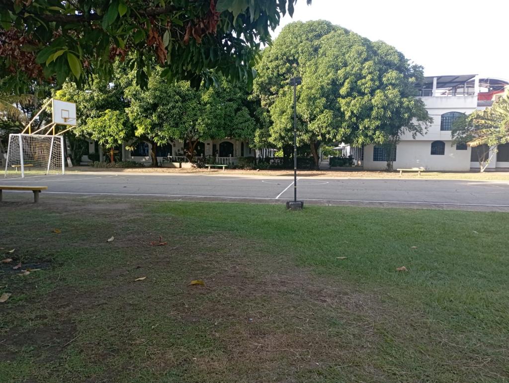 Lote En Venta - Flandes, Flandes