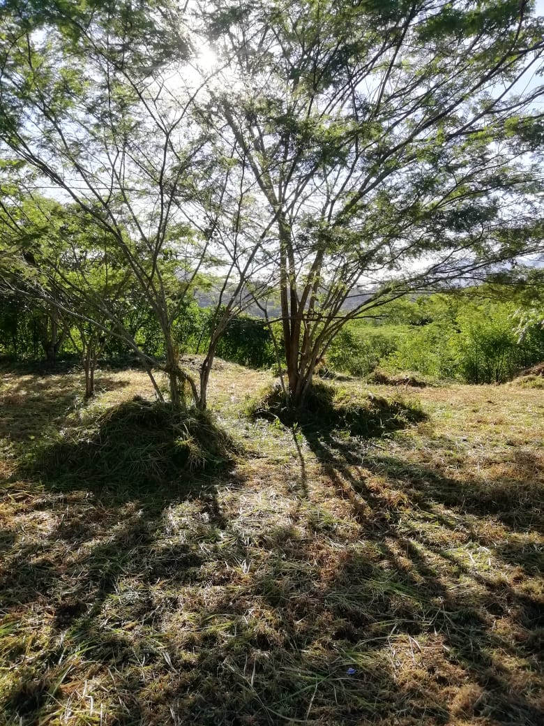 Lote En Venta - San Antonio De Anapoima, Anapoima