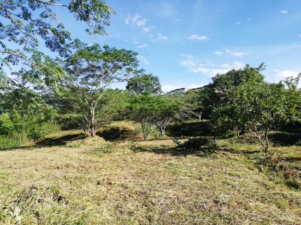 Lote En Venta - San Antonio De Anapoima, Anapoima