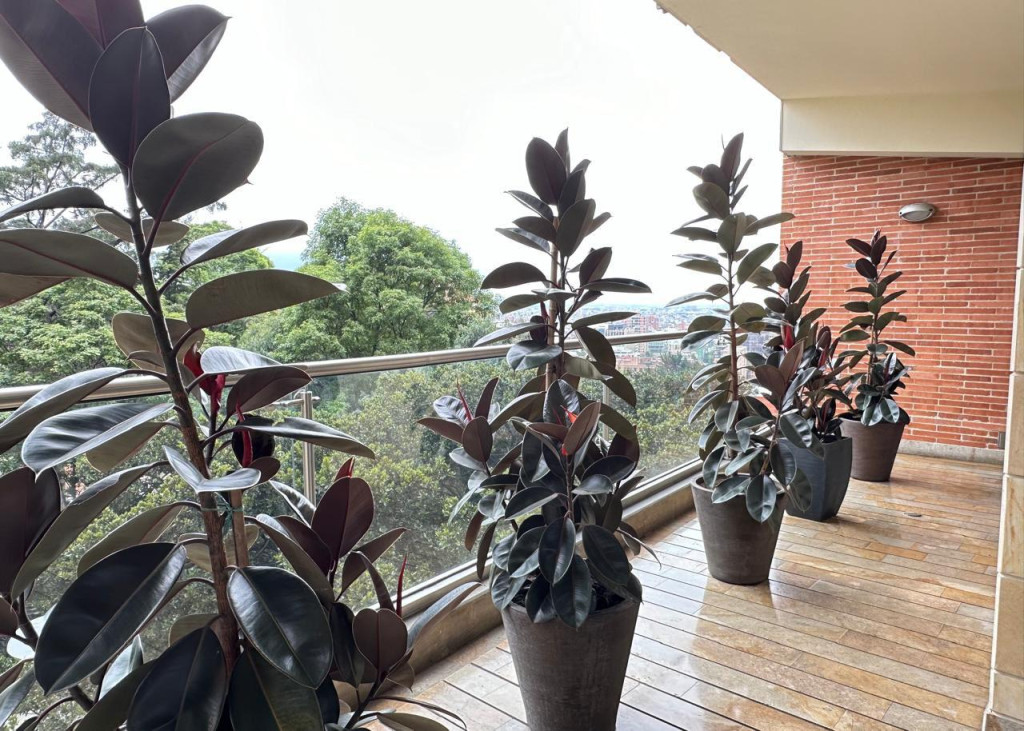 Apartamento En Venta - Los Rosales, Bogotá