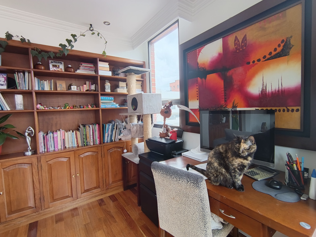 Apartamento En Arriendo/Venta - Santa Barbara-Usaquén, Bogotá