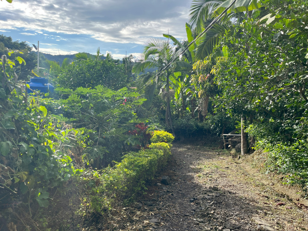 Finca En Venta - Vereda Doima, La Mesa