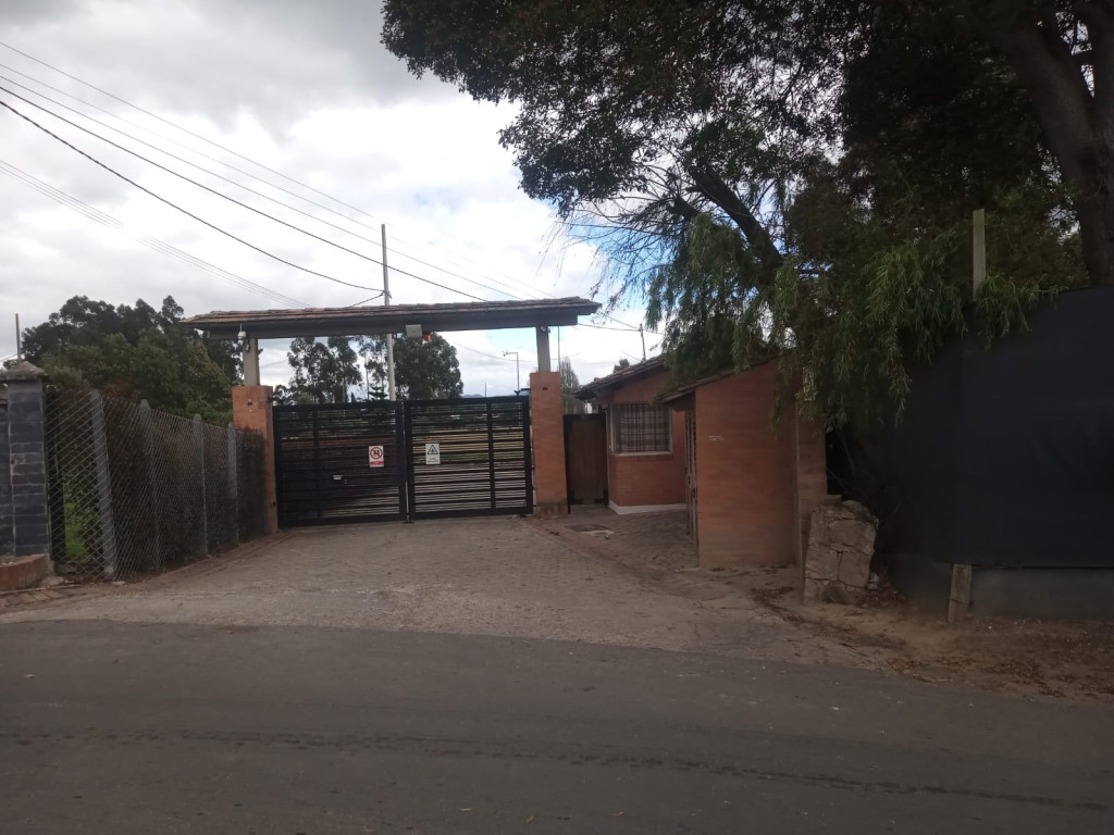 LOTE