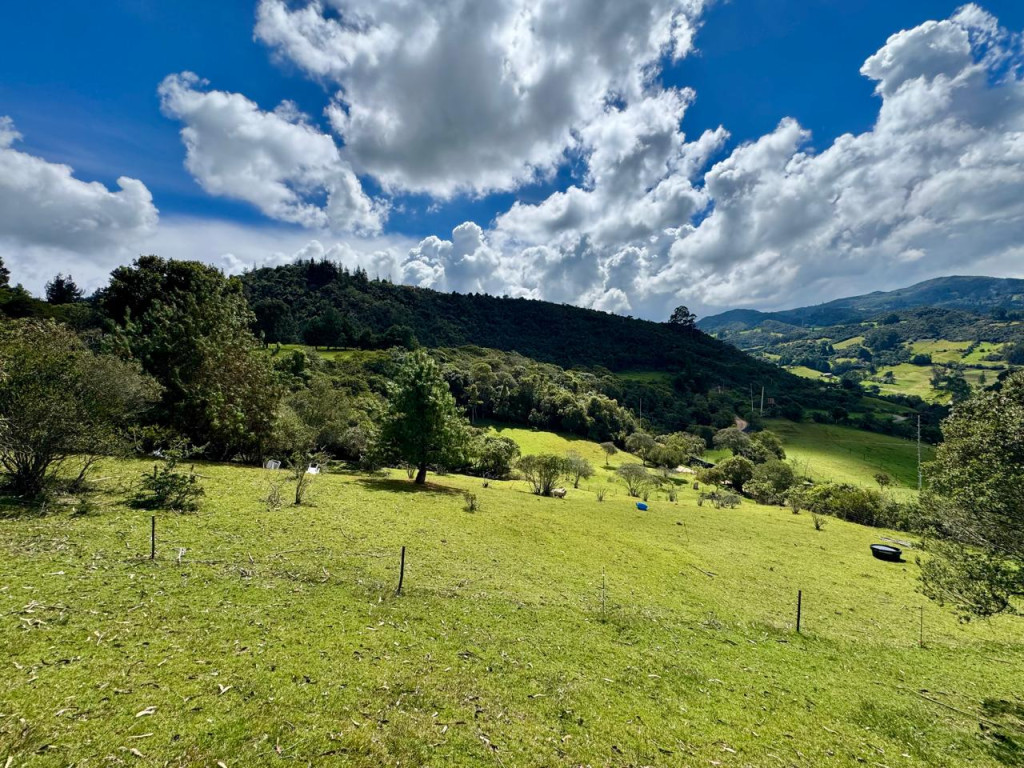 {{ ucwords(strtolower($inmueble[