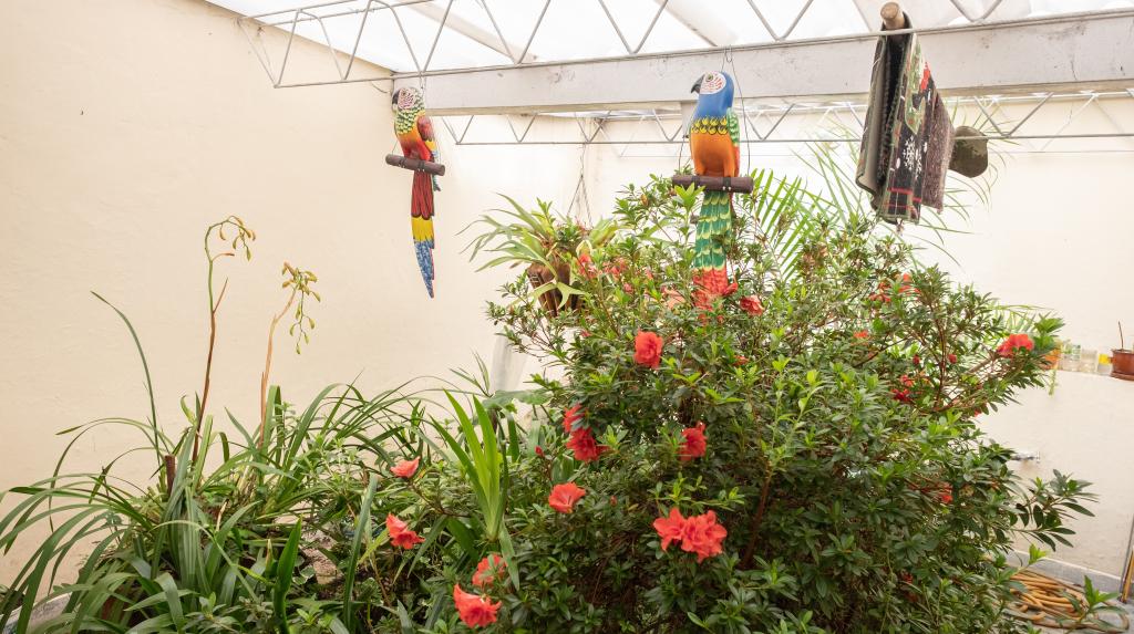 Casa En Venta - Cedro Golf-Usaquén, Bogotá