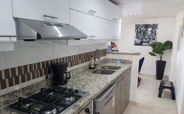 Apartamento En Arriendo - Chapinero Central, Bogotá