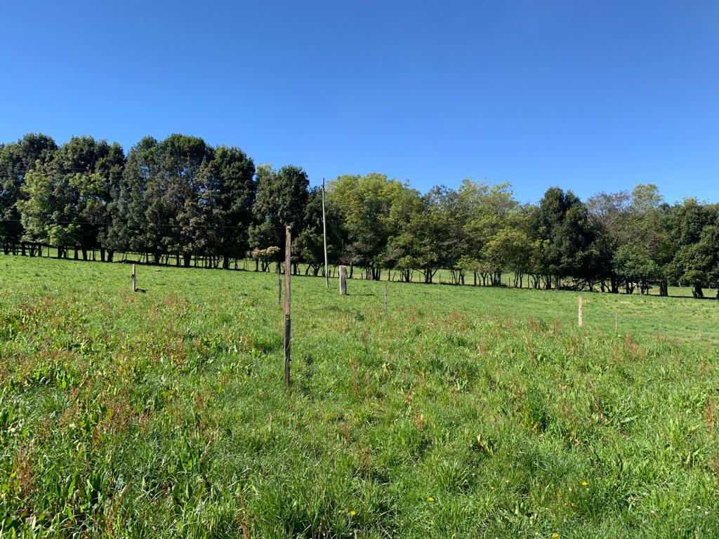 Finca En Venta - Guasca - Cundinamarca, Guasca