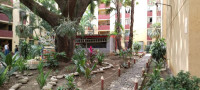 VENTA