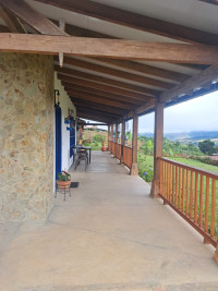 VENTA