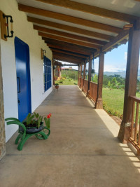 VENTA