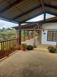 VENTA