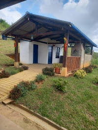 VENTA