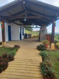 VENTA