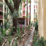 ARRIENDO