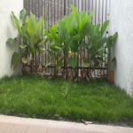 ARRIENDO