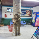 VENTA