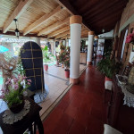 VENTA