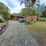VENTA