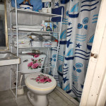 VENTA