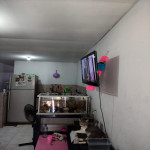 VENTA