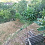 VENTA