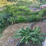 VENTA