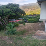 VENTA