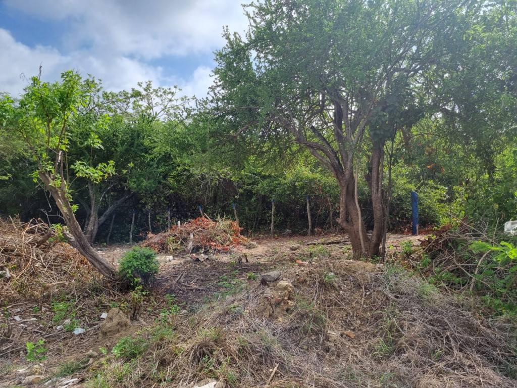 lote en venta 