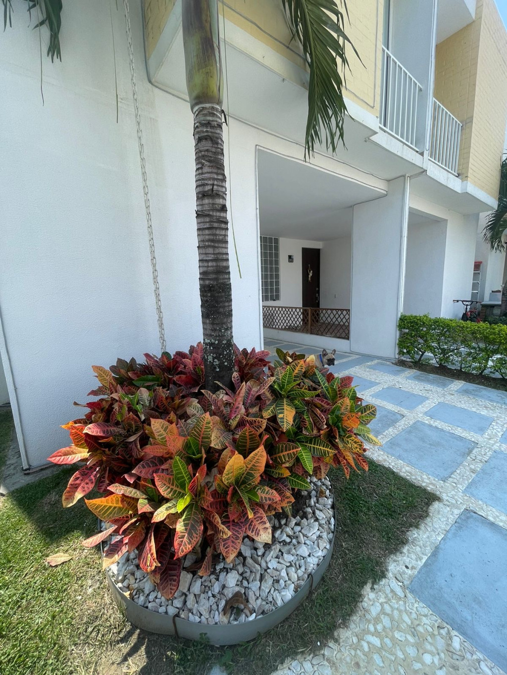 Casa en venta, código 6002