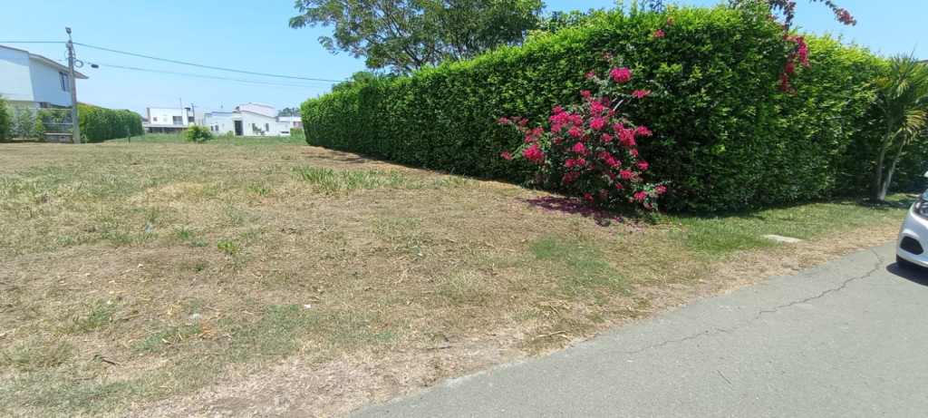 Lote en venta, código 6396