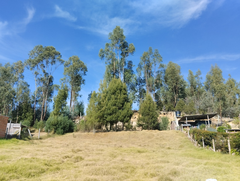 Lote En Venta - Paipa Centro, Paipa