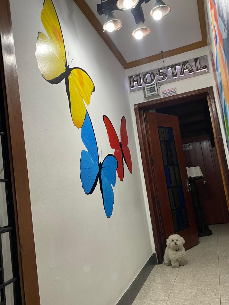 Casa de 20 alcobas en venta en La Candelaria, Bogotá, 470 m² · foto 12 de 24
