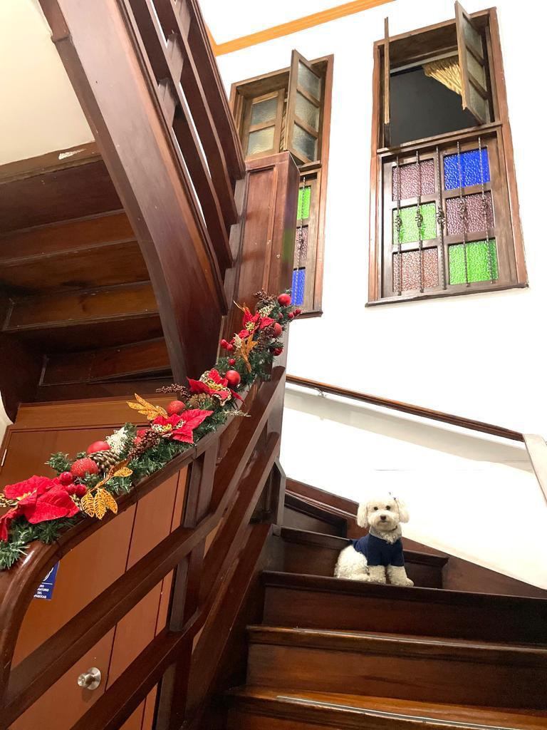 Casa de 20 alcobas en venta en La Candelaria, Bogotá, 470 m² · foto 13 de 24