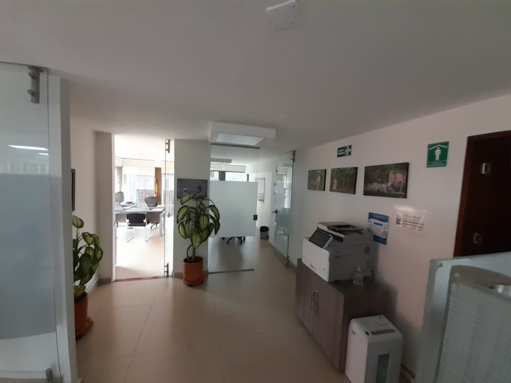 Oficina en arriendo en Quinta Camacho, Bogotá, 456 m² · foto 5 de 24