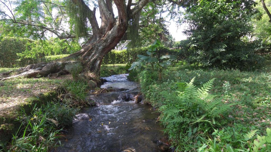 Lote En Venta - Pance, Cali