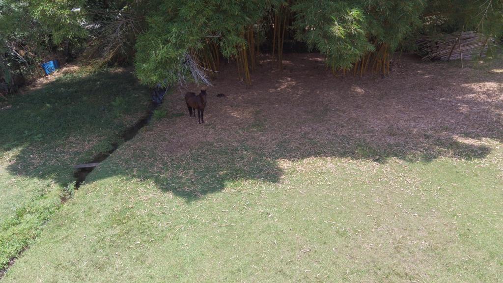 Lote En Venta - Pance, Cali