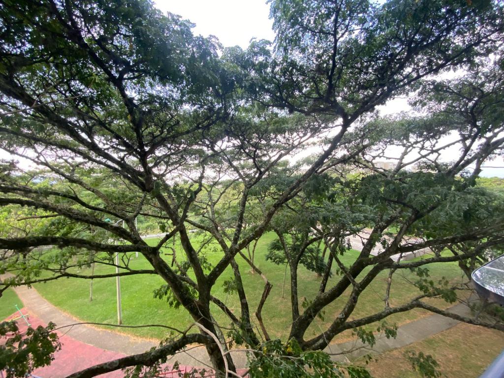 Apartamento En Venta - Bochalema, Cali