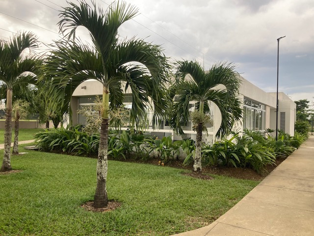 Apartamento En Venta - Alfaguara, Jamundí