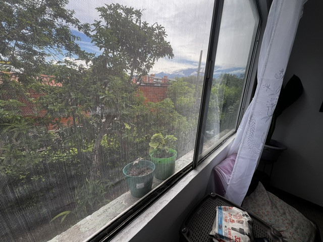 Apartamento En Venta - El Limonar, Cali