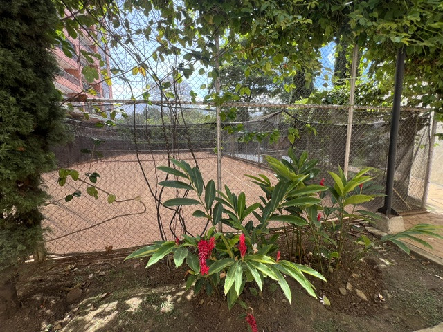 Apartamento En Venta - Ciudad Jardín, Cali