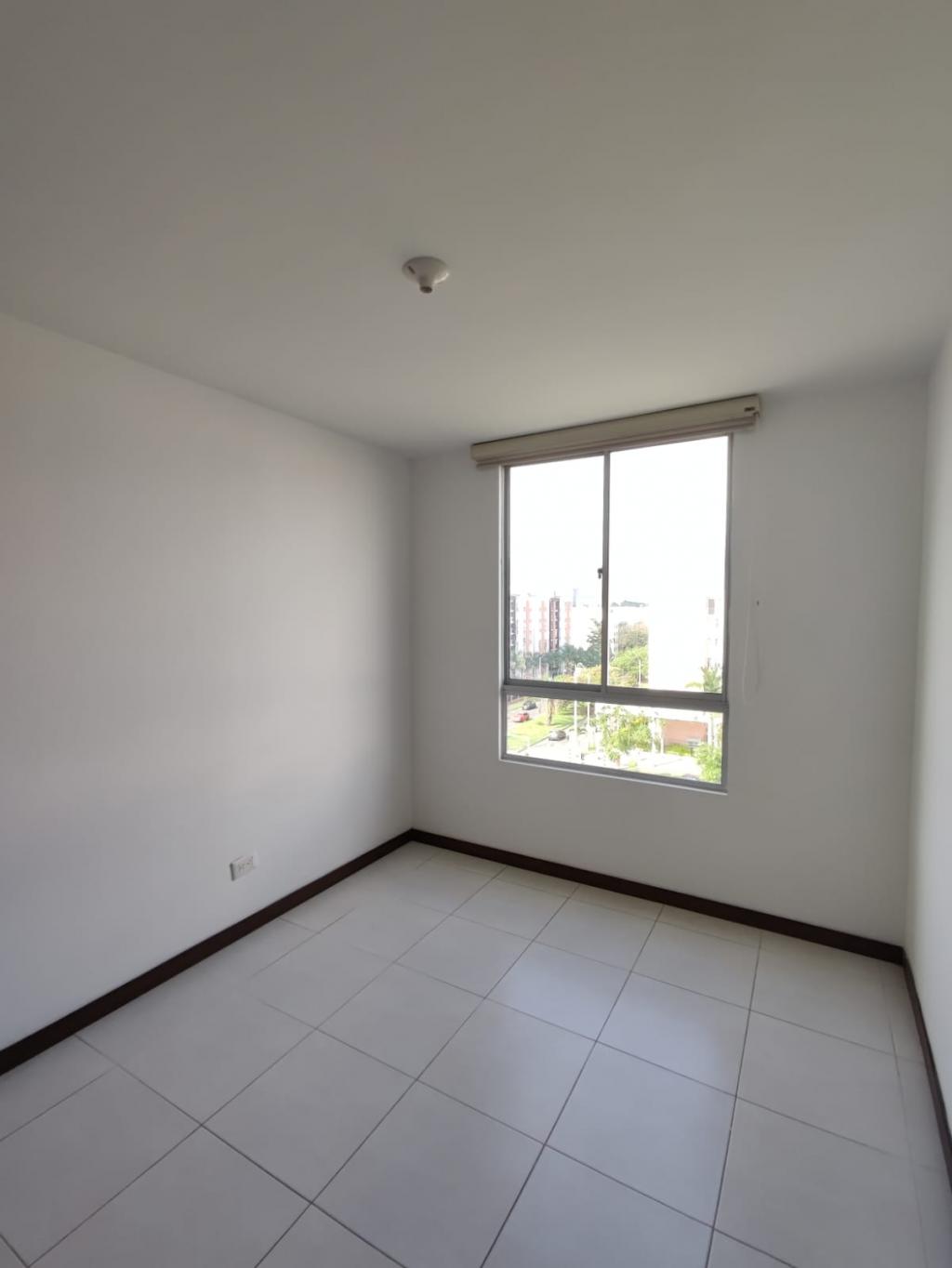 Apartamento En Arriendo - Valle Del Lili, Cali