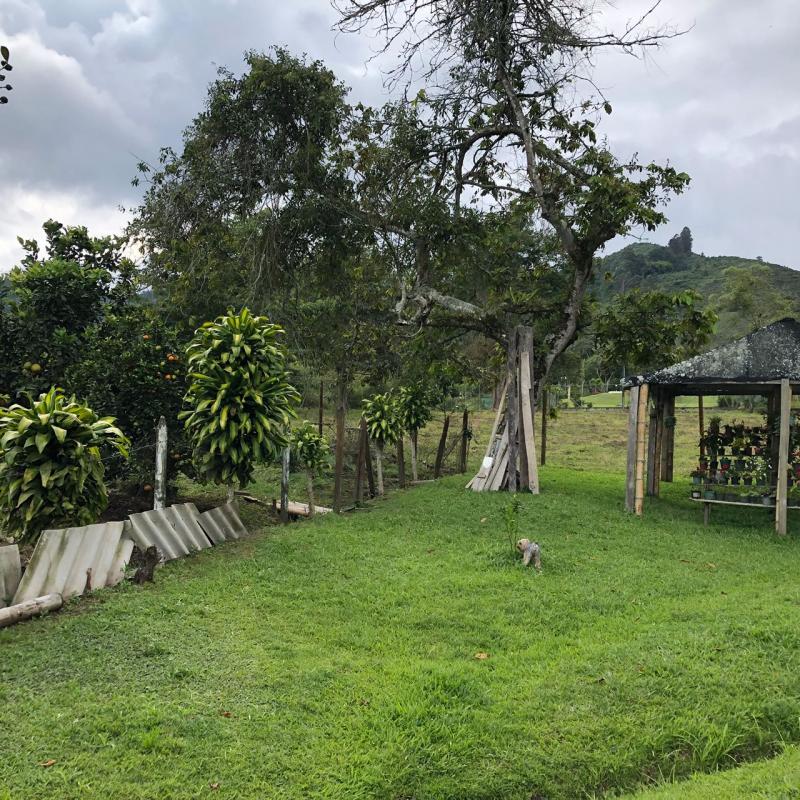 Finca en venta · DARIEN, Calima