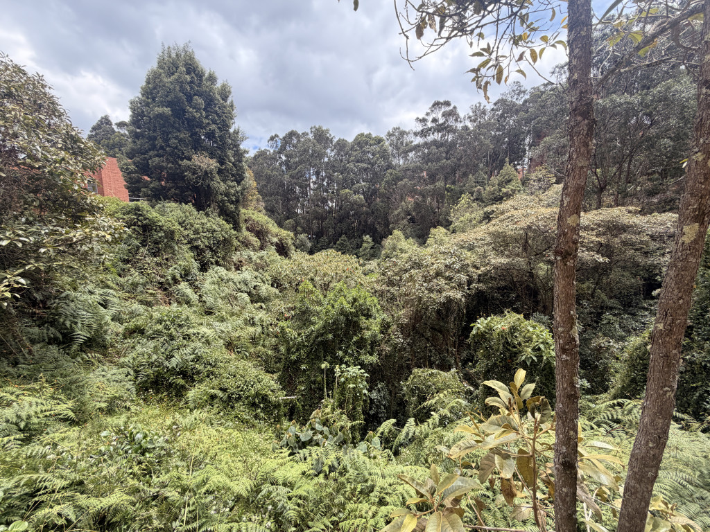 Apartamento En Venta - Bosques De Marqués, Bogotá