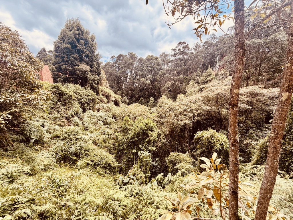 Apartamento En Arriendo/Venta - Bosques De Marqués, Bogotá