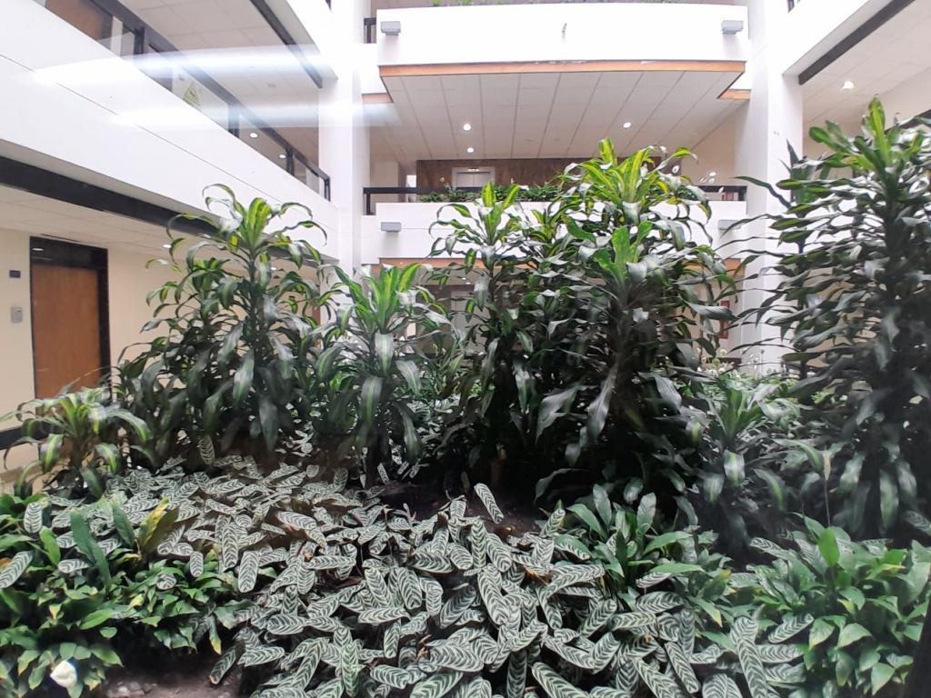 Oficina en venta en Chico Norte, Bogotá, 35 m² · foto 15 de 15